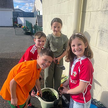 Group of children enjoying their time planting daffodil bulbs