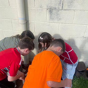 Four children working together to plant daffodil bulbs